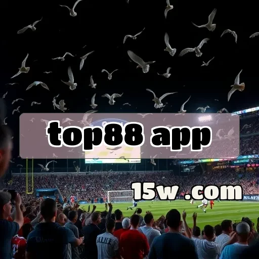 top88 app: Venha Conhecer os Melhores Jogos de Cartas Disponíveis